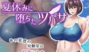 【爆款RPG/汉化/双端】在暑假堕落的燕子1.0【PC+安卓/1.23G】-春日ACG